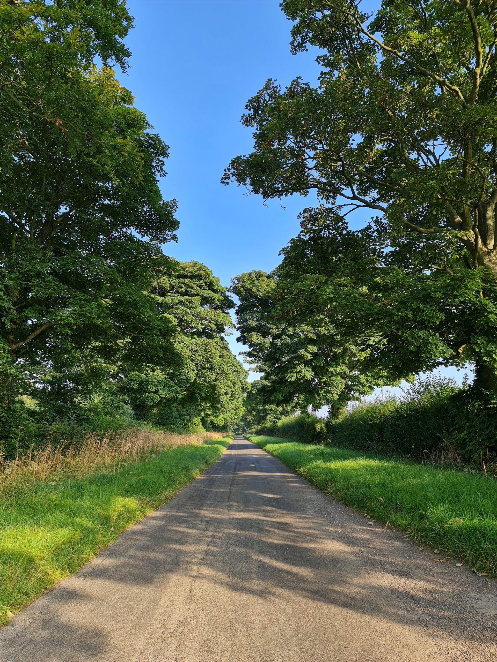 I is for… Insight, Inquiry and an Invitation