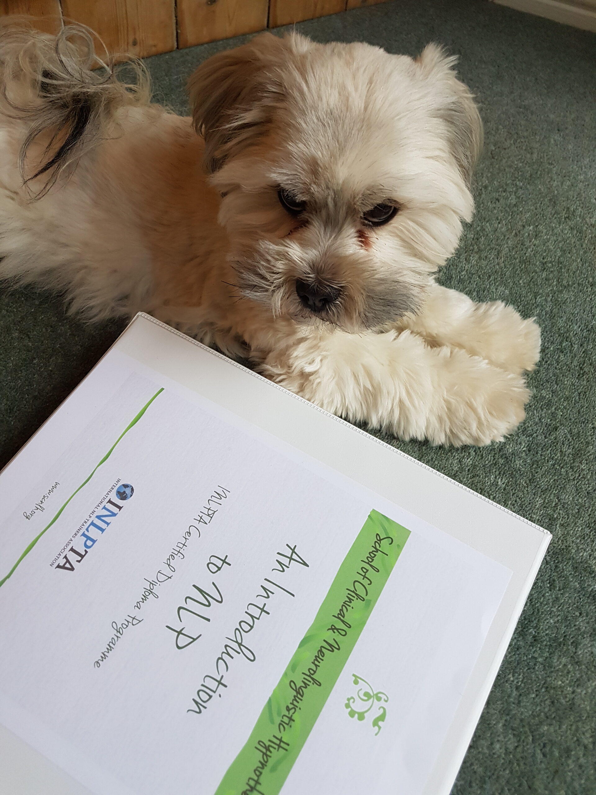 K is for… Knowledge